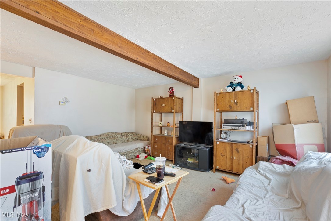 Chestnut Commons Condo - Residential