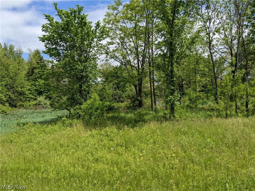 Land in Beaver Local School District.  Property has been partially cleared and there is public water available on the other side of the road.