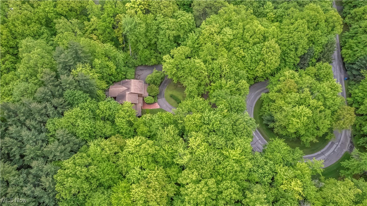 10576 Hemlock Ridge Drive, Chardon, Ohio image 37