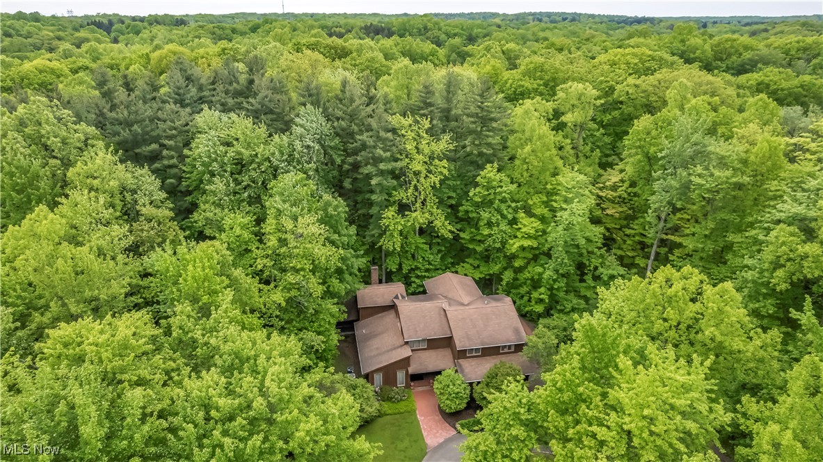 10576 Hemlock Ridge Drive, Chardon, Ohio image 36