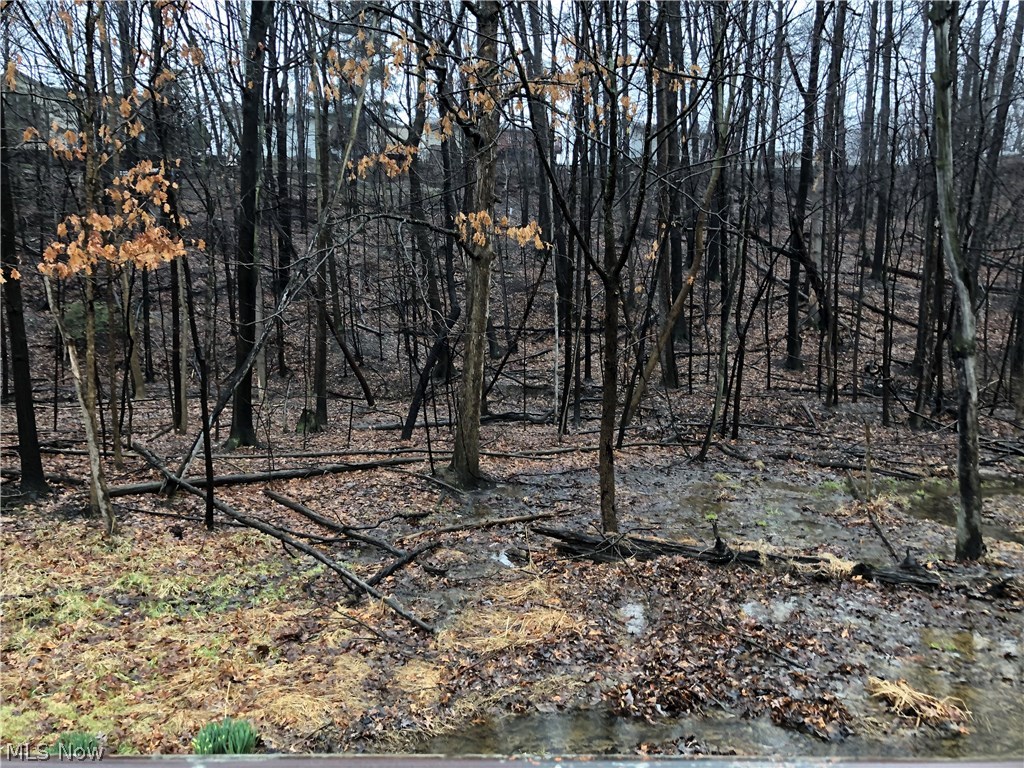 Mathersons Acres - Land