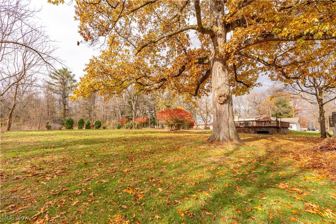 Whitman - Residential