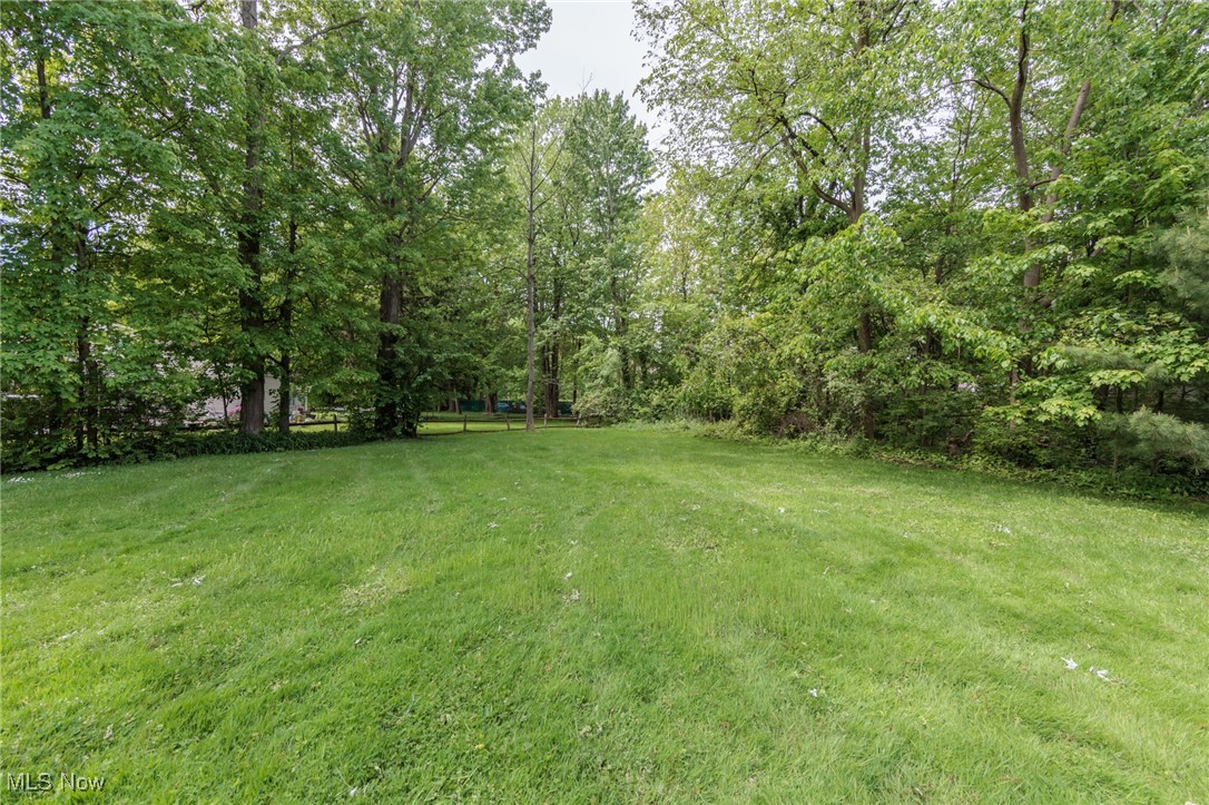 144 Charlotte Street, Painesville, Ohio image 47