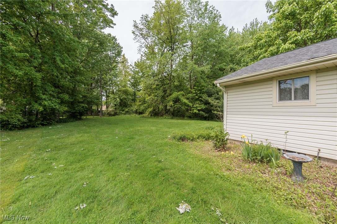 144 Charlotte Street, Painesville, Ohio image 46