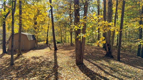 Tiny photo for 8217 W River Drive, Novelty, OH 44072 (MLS # 5255397)