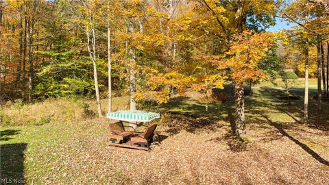 Tiny photo for 8217 W River Drive, Novelty, OH 44072 (MLS # 5255397)