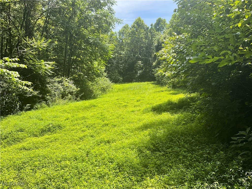 Imagine owning your very own 25-acre hunting retreat just outside of Newcomerstown, Ohio—whether you're looking for a quiet place to hunt, a future building site, or simply a piece of land to call your own, this property has it all. With a generous amount of frontage and several ideal spots for food plots, it's perfectly set up for whitetail enthusiasts in an area known for producing big deer and strong populations. Don’t miss this opportunity to invest in a manageable piece of land with serious potential—set it up how you want and enjoy it for years to come.