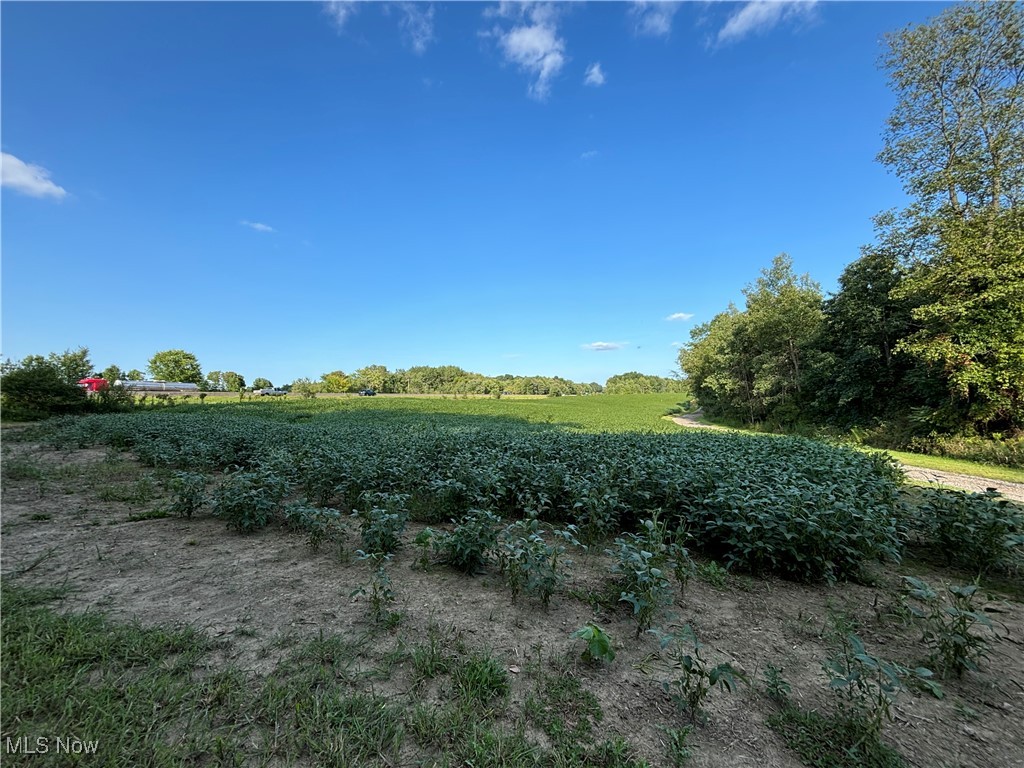 Vacant Land Slagle Road, Windham, Ohio image 7