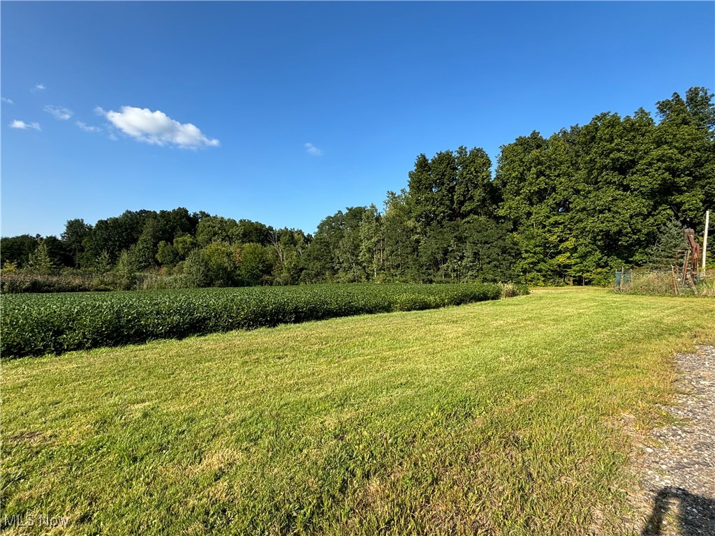 Vacant Land Slagle Road, Windham, Ohio image 2