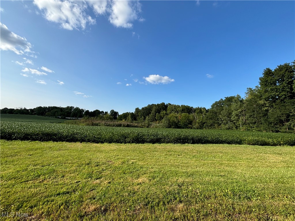 Vacant Land Slagle Road, Windham, Ohio image 5