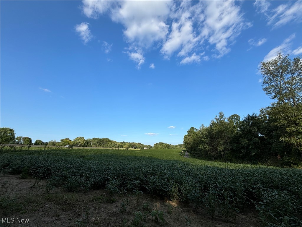 Vacant Land Slagle Road, Windham, Ohio image 6