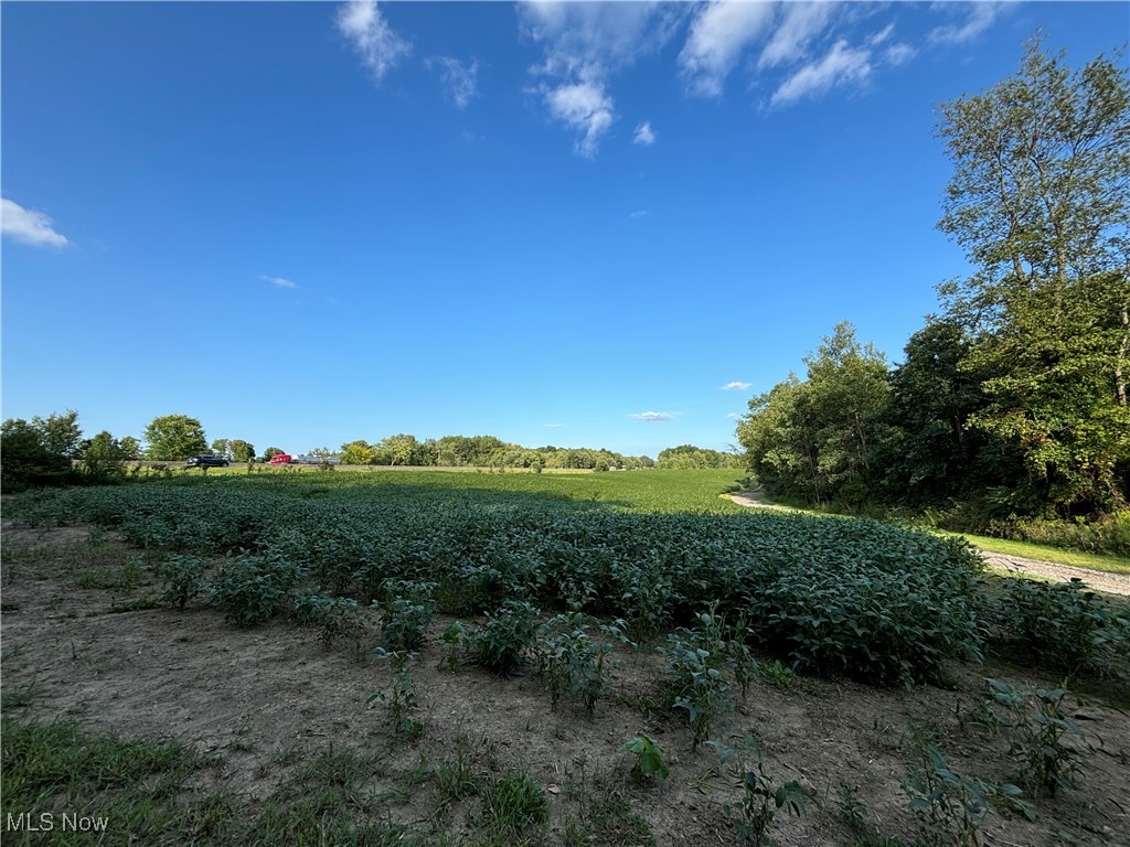 Vacant Land Slagle Road, Windham, Ohio image 3