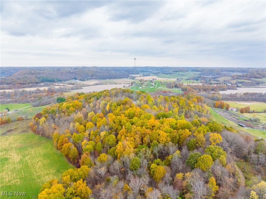 Onsite auction Wednesday, December 3rd at 4:00 PM. Parcel 3 consists of 20 acres, mostly wooded, offering excellent hunting in a great area. The established road to the cell tower on this parcel provides great access to multiple hunting spots. From this elevated location, panoramic views extend across the adjoining parcels, making it an ideal vantage point. This tract offers a mix of accessibility, seclusion and privacy.
