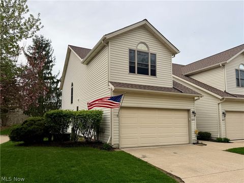 Photo of 1025 Parsons Road, Grafton, OH 44044 (MLS # 5202291)