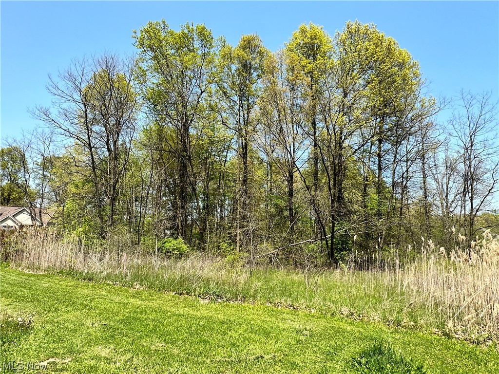 Isabelle Drive, Girard, Ohio image 1