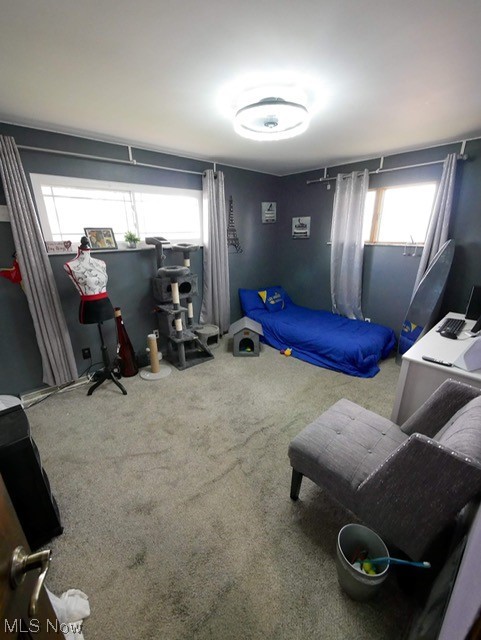 Eastview Sub Sec 33 - Residential