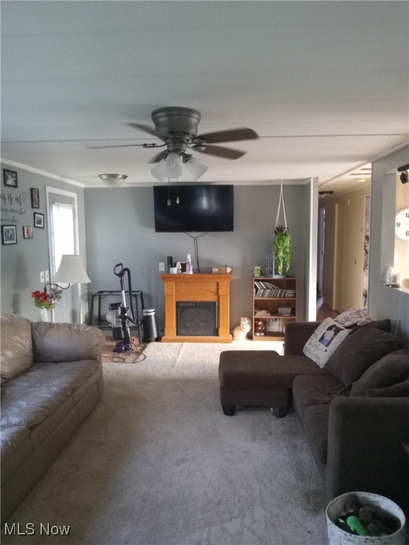 Pheasant Run Village - Residential