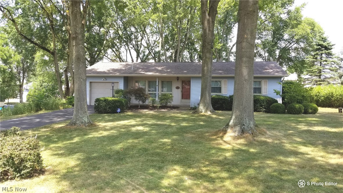 Pinelane - Residential