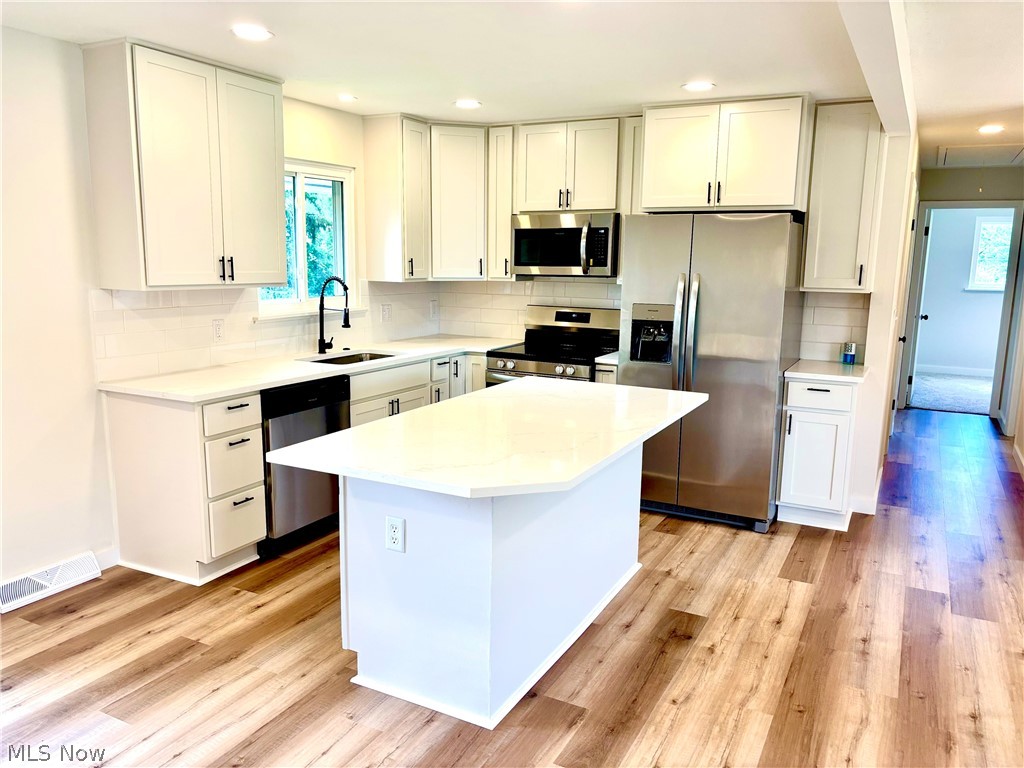 21113 Willow Lane