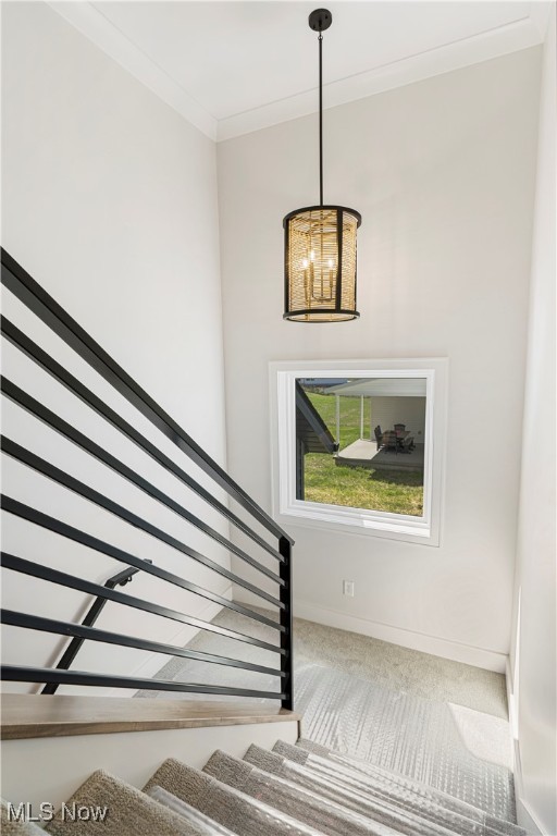 Woodlands #1 - Residential