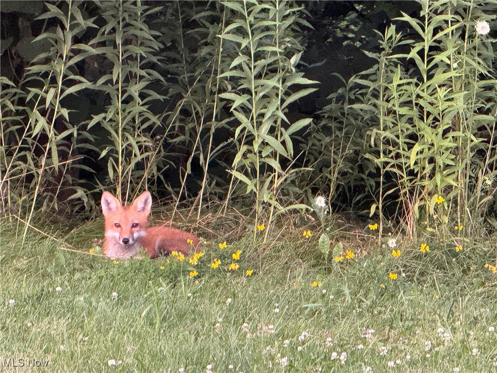 Diehl Lake 1 - Residential