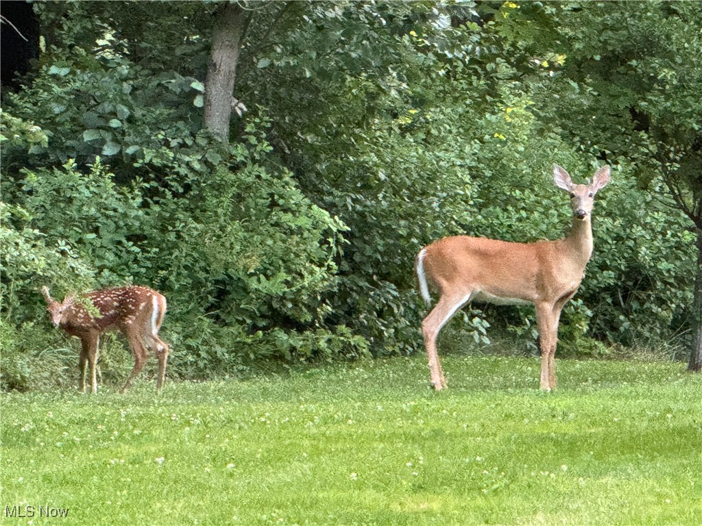 Diehl Lake 1 - Residential