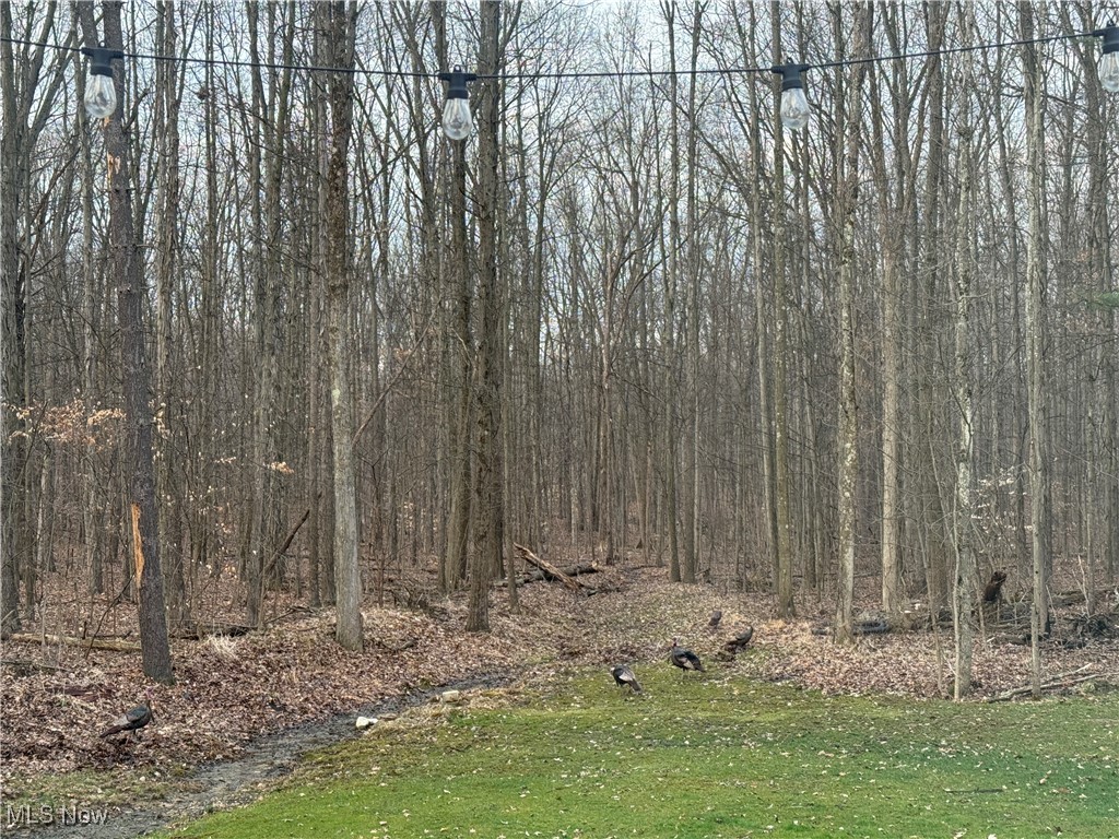 Diehl Lake 1 - Residential