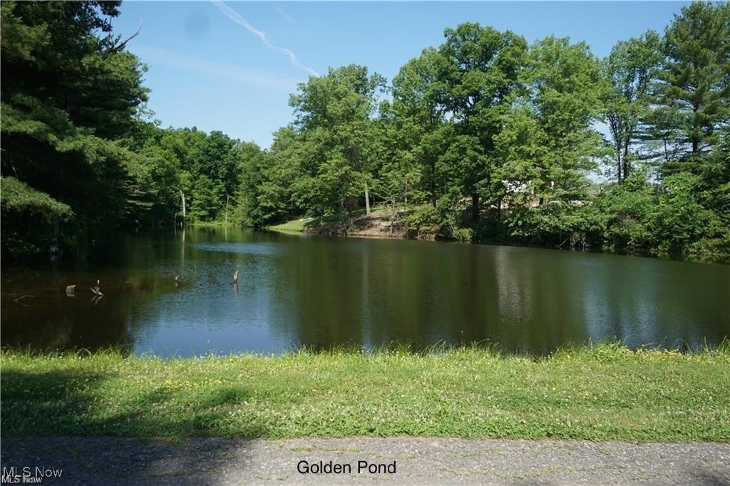 Diehl Lake 1 - Residential