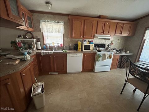 Tiny photo for 50023 Lin Chris Drive, St Clairsville, OH 43950 (MLS # 5167518)