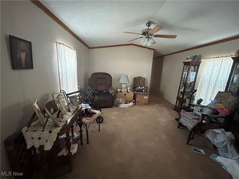 Tiny photo for 50023 Lin Chris Drive, St Clairsville, OH 43950 (MLS # 5167518)