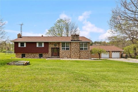 Homes For Sale - 71770 Chini Orchard Road<br/> Flushing, OH 43977