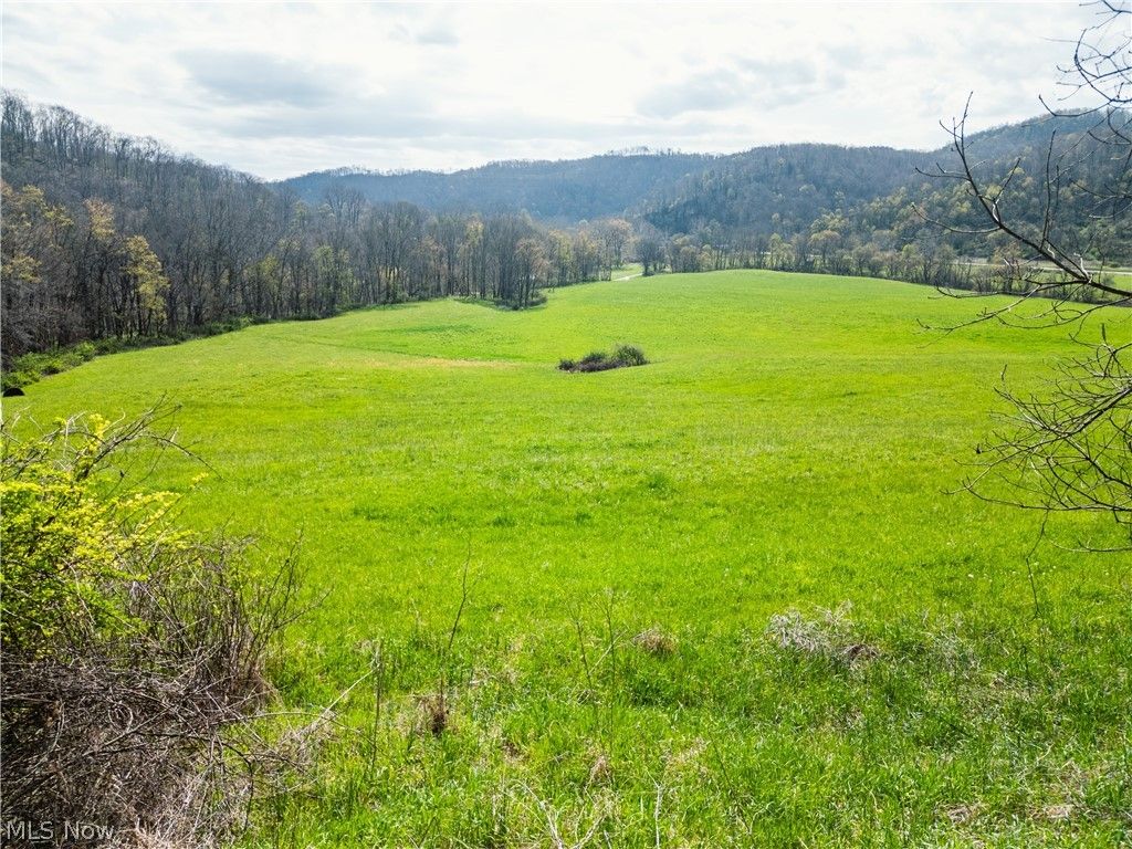 Photo of 47691 E Captina Highway Road, Alledonia, OH 43902 (MLS # 5206021)