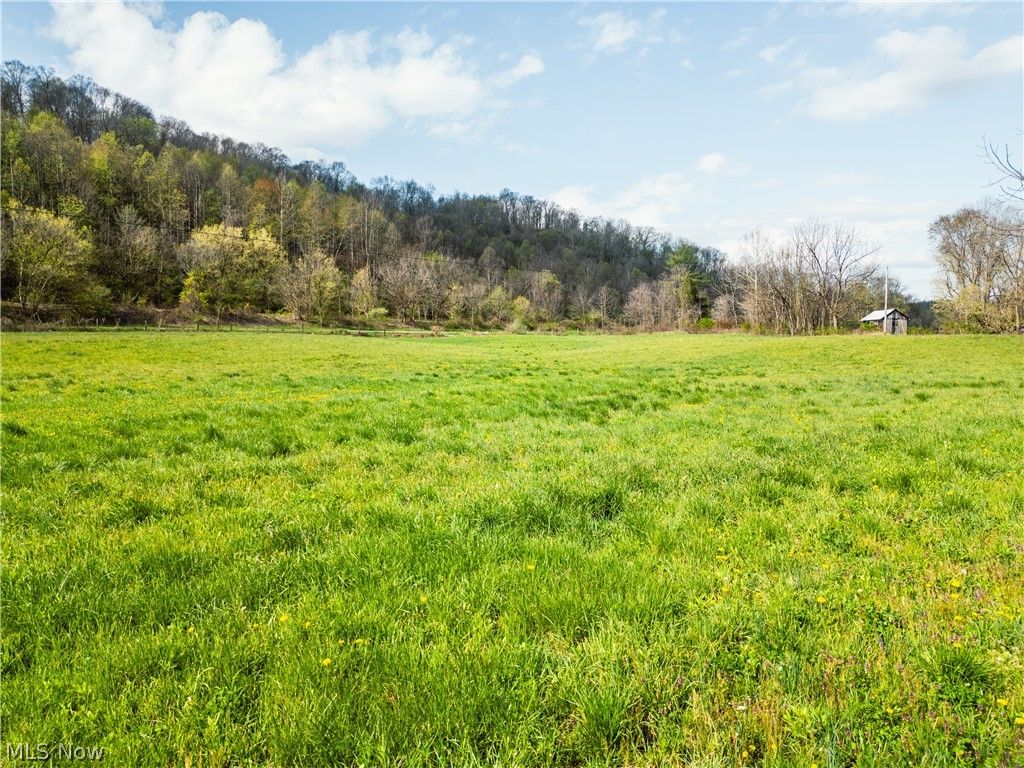 Photo of 47691 E Captina Highway Road, Alledonia, OH 43902 (MLS # 5206021)