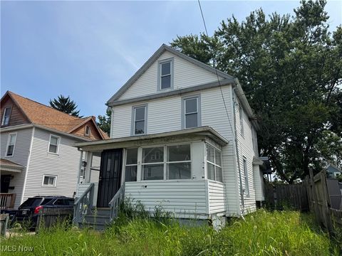 Homes For Sale - 157 Henry Street<br/> Akron, OH 44305