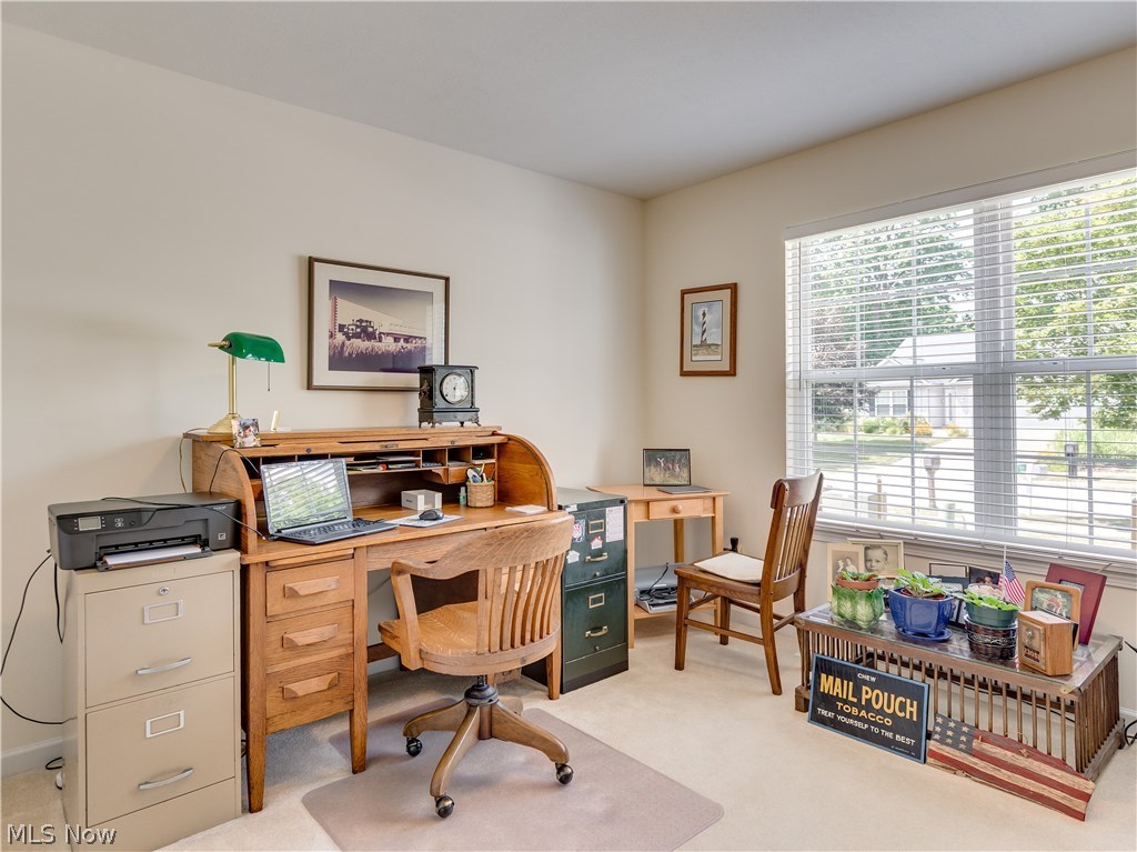 Meadowood Allotment - Residential