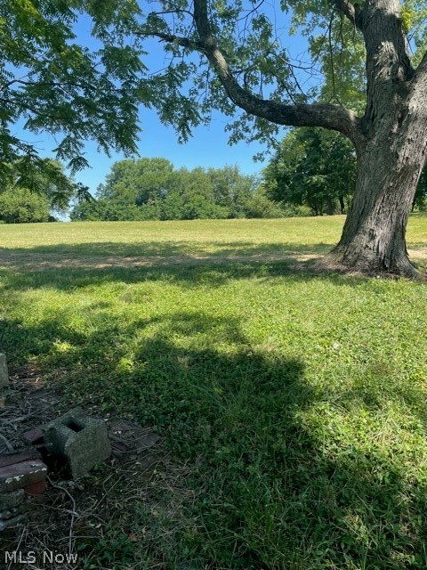 2 Parcels totaling 7.76 acres. Can be used for Commercial use. Survey in office. An adjoining property containing 4.429 acres is currently listed at $195,000 for a total of 12.203 acres combined. The adjoining property is listed by Steve McCarthy Real Living MLS #4294330