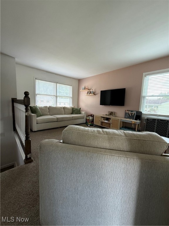 Austintown, Ohio 44515, United States, 3 Bedrooms Bedrooms, ,2 BathroomsBathrooms,Residential,Active,170223