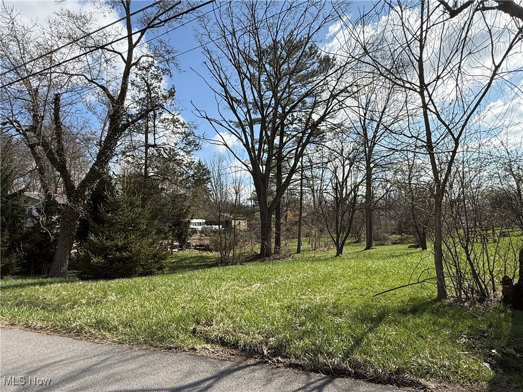 (Adjacent To) 4011 Pardee Road, Stow, Ohio image 3