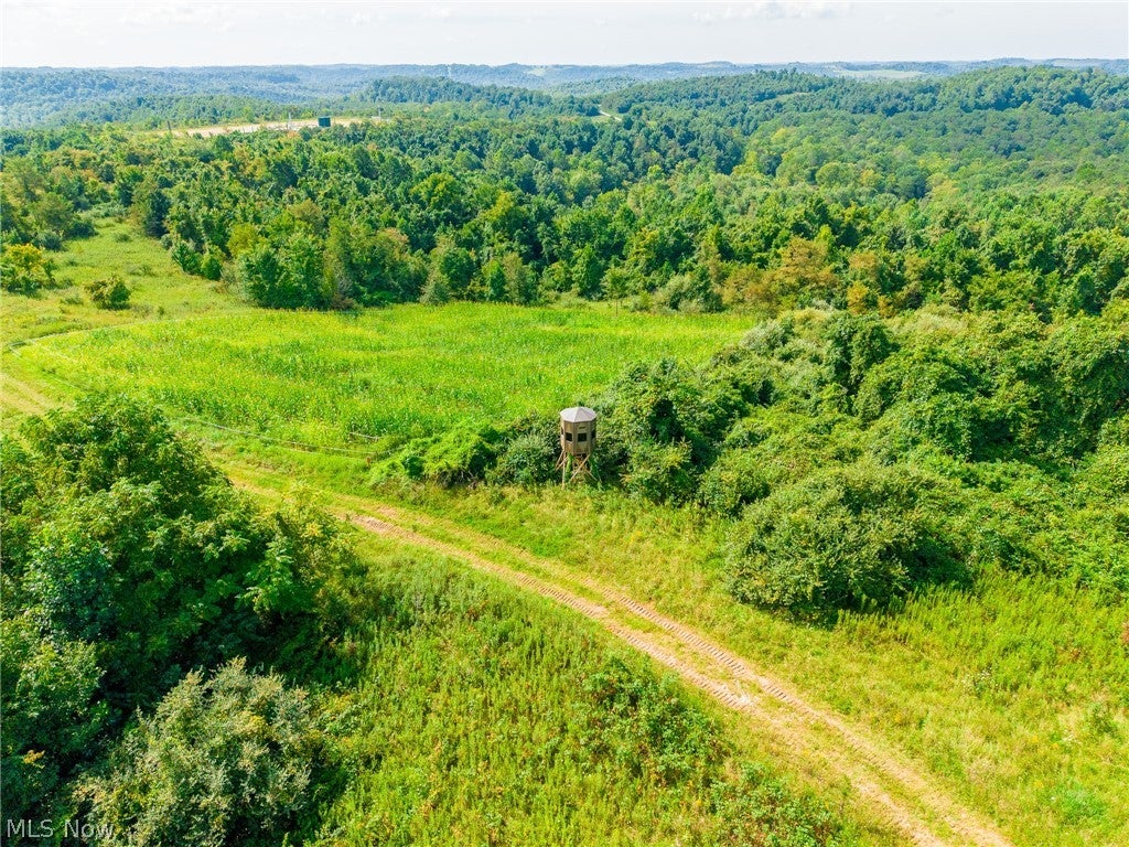 Putney Ridge Road