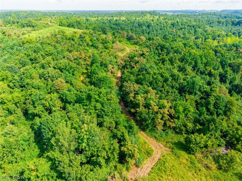 Putney Ridge Road