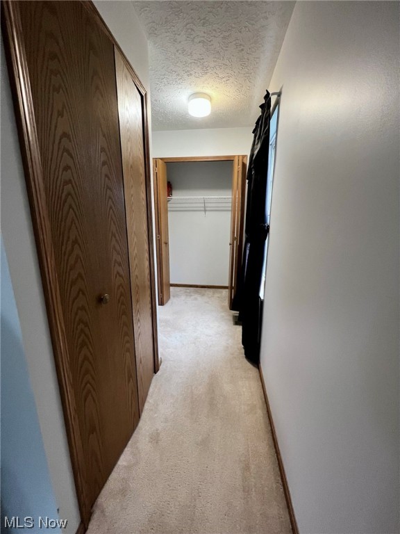 Chestnut Hill Cluster Homes - Residential