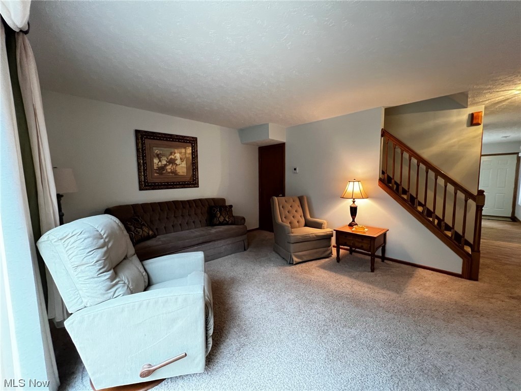 Chestnut Hill Cluster Homes - Residential