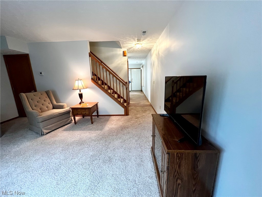 Chestnut Hill Cluster Homes - Residential