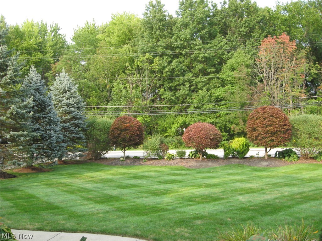 Schady Road Dev - Residential