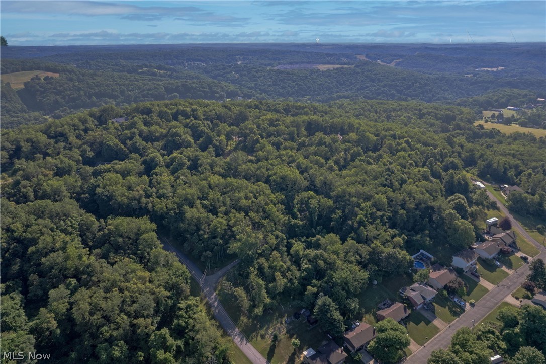 VL Eagle Mountain Estate, New Cumberland, West Virginia image 6