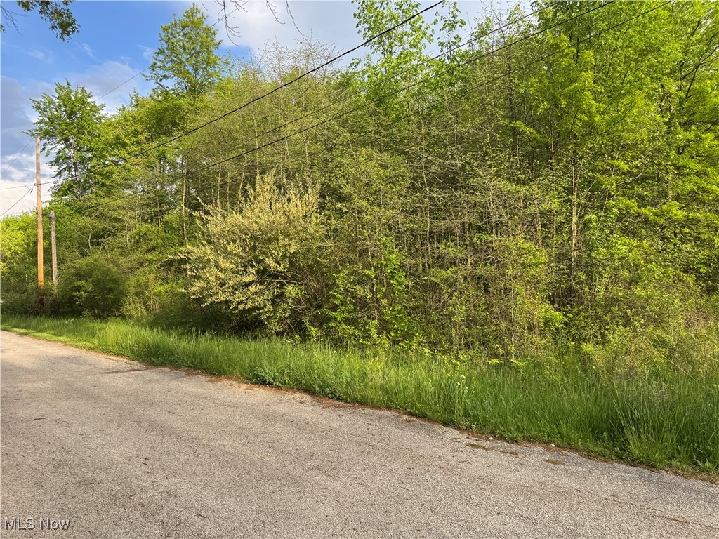 16676 Oakwood Drive, Lake Milton, Ohio image 4