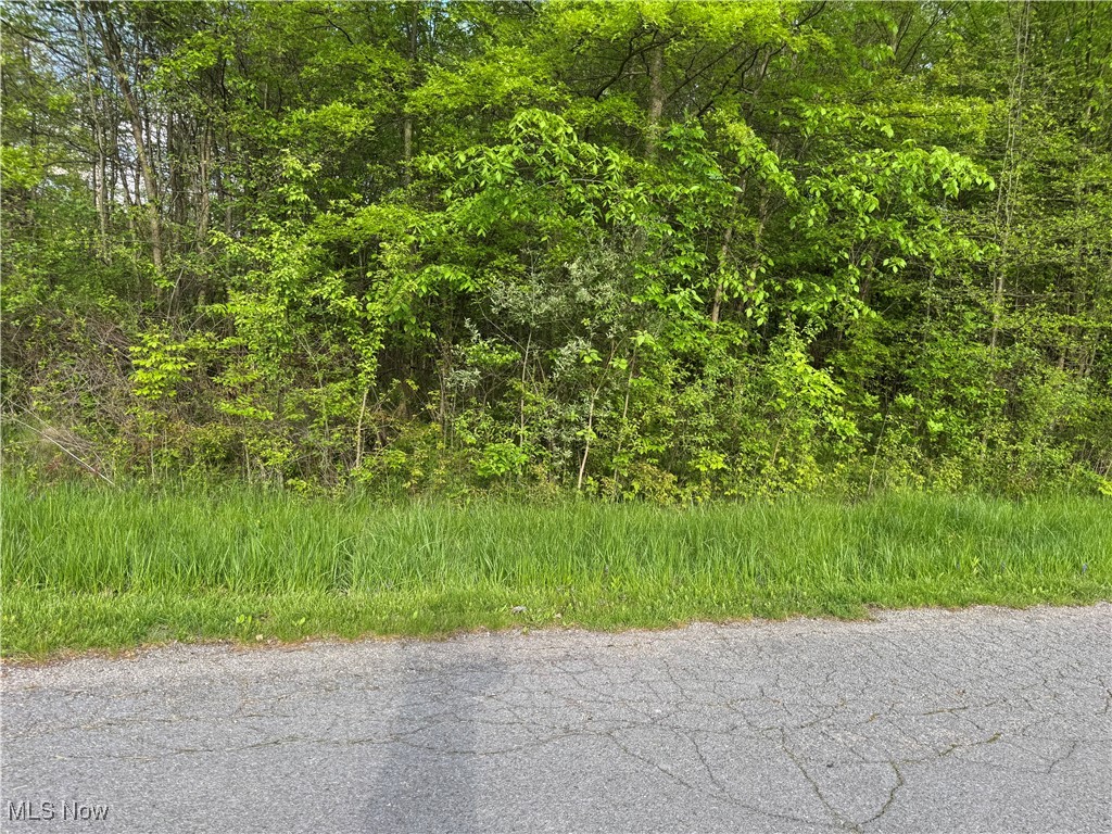 16676 Oakwood Drive, Lake Milton, Ohio image 6