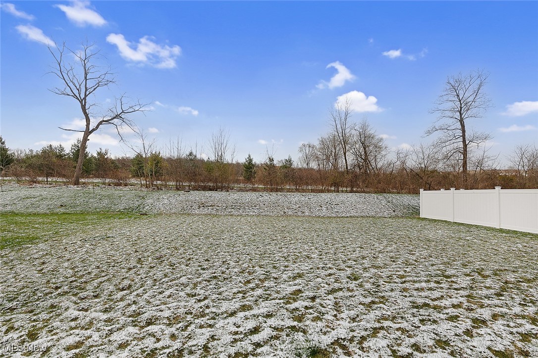 3490 Shadow Ledge Drive, Twinsburg, Ohio image 24