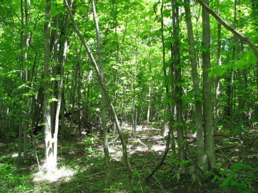 Beautiful Subdivision in Hambden Twp. Total of 23 lots of 3 to 5 acres each. Some wooded and some with pond or river running through or behind. Well and septic will be buyers responsibility. Protective deed restrictions. HOA has not been formed but could be in the future. Choose your own builder or work with one of ours. No time frame to build. Min. sq ft is 2200 for a 1 story home and 2500 sq. ft for a 2 story home. School District is Chardon. Call for Details and list of lots that are available. Hurry ! More than half the lots have Sold ! Taxes are estimated and lot dimensions are approx..