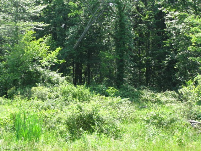 Coldwater Reserve - Land